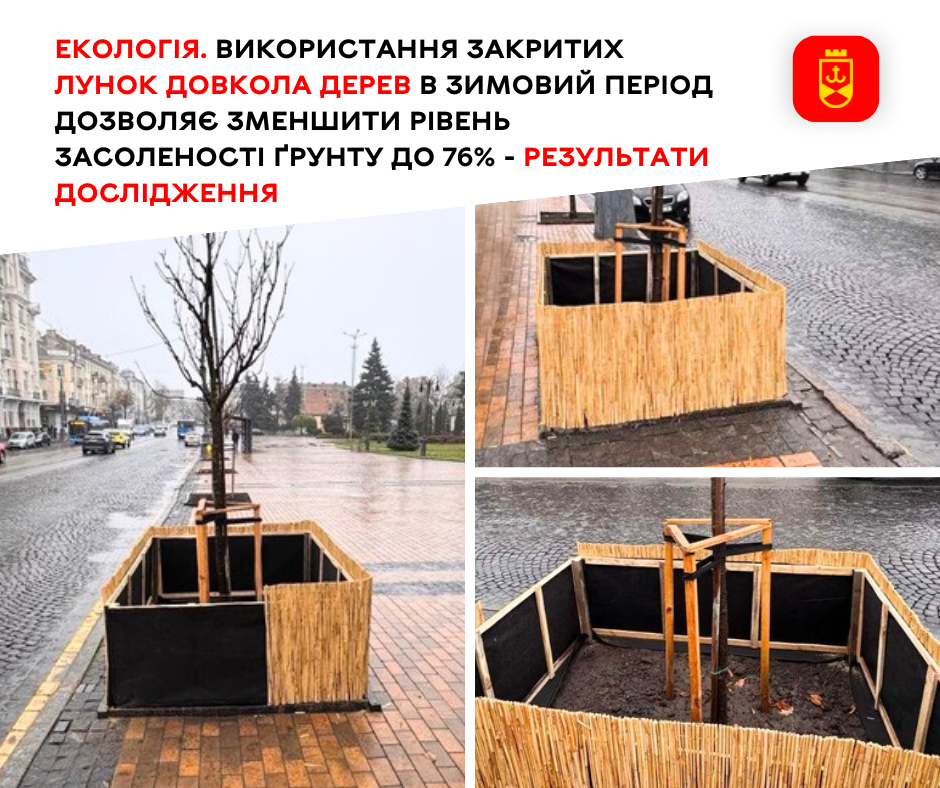 Екологія. Використання закритих лунок довкола дерев в зимовий період дозволяє зменшити рівень засоленості ґрунту до 76% - результати дослідження